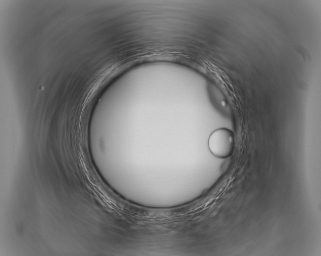 X0000111640145200907171045