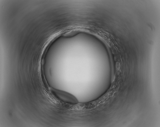 X0000111640148200907171045