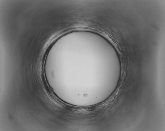 X0000111640151200907171045