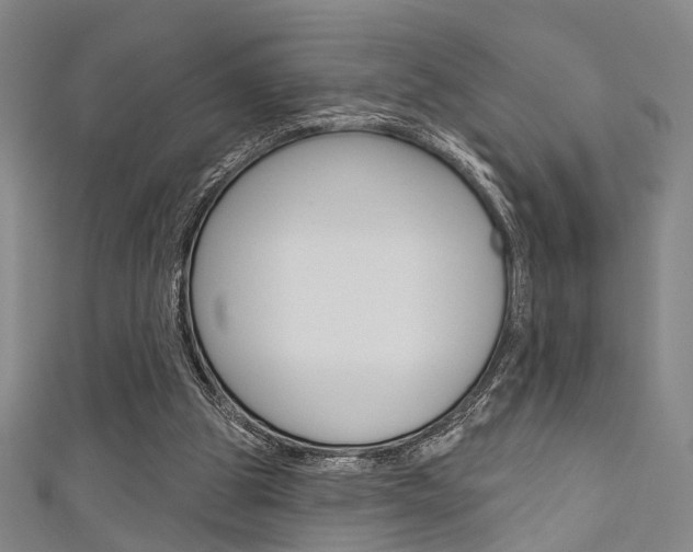 X0000111640153200907171045