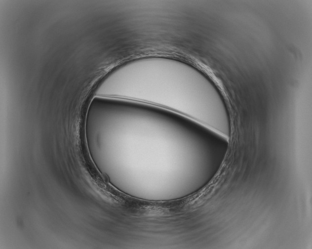 X0000111640154200907171045