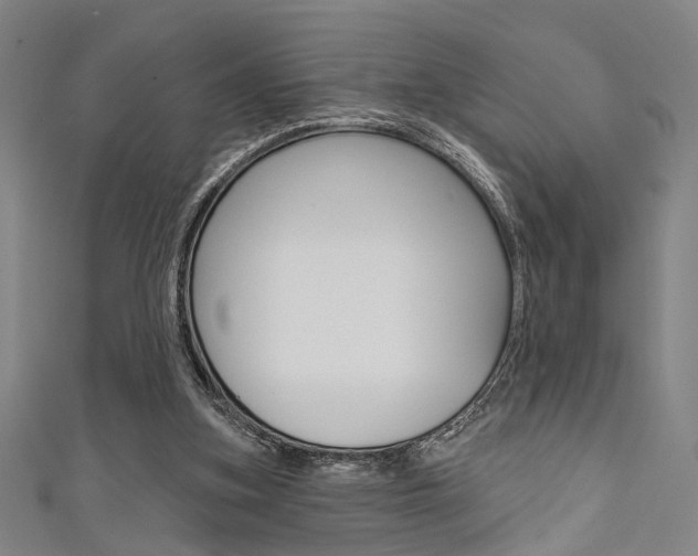 X0000111640155200907171045
