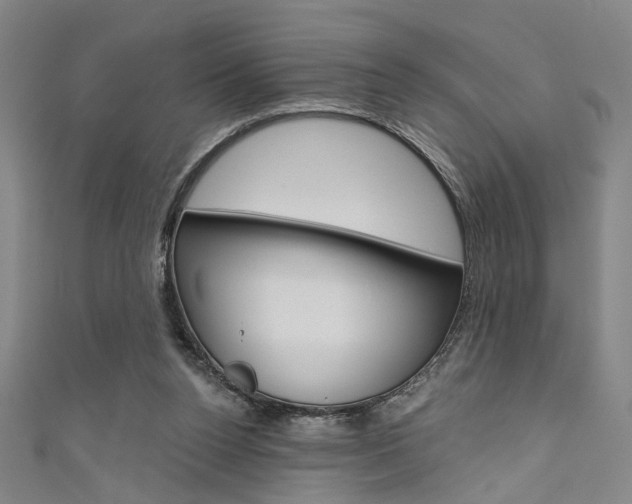 X0000111640160200907171045