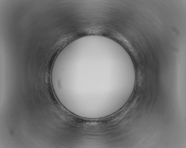 X0000111640161200907171045
