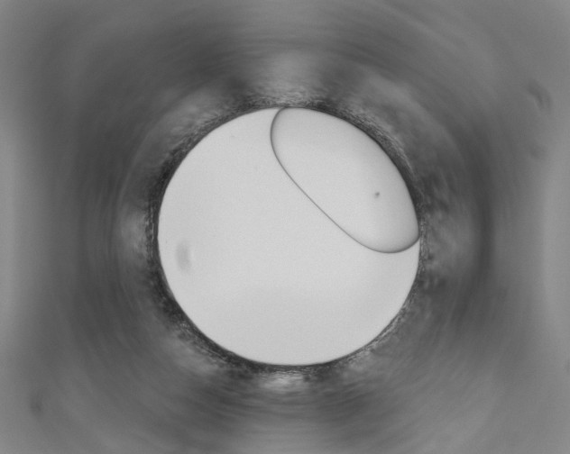 X0000111640162200907171045