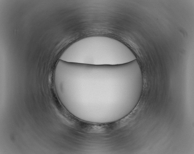 X0000111640166200907171045