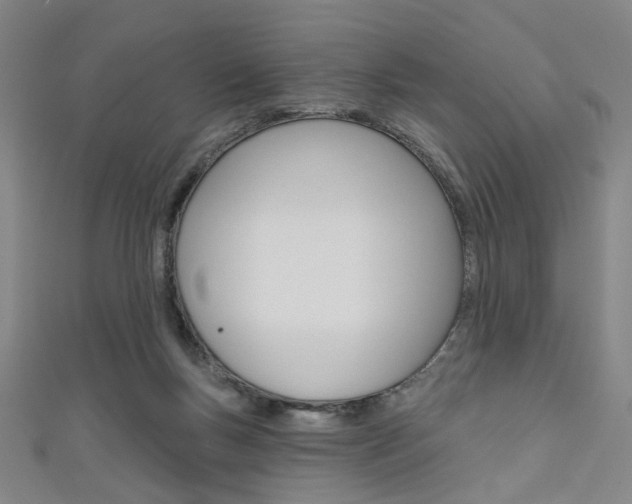 X0000111640167200907171045
