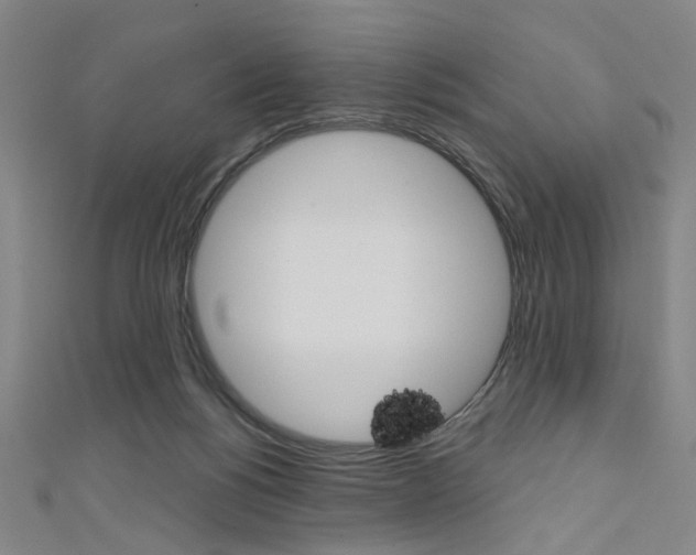 X0000111640168200907171045