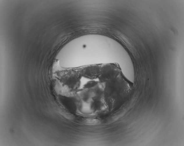 X0000111640169200907171045