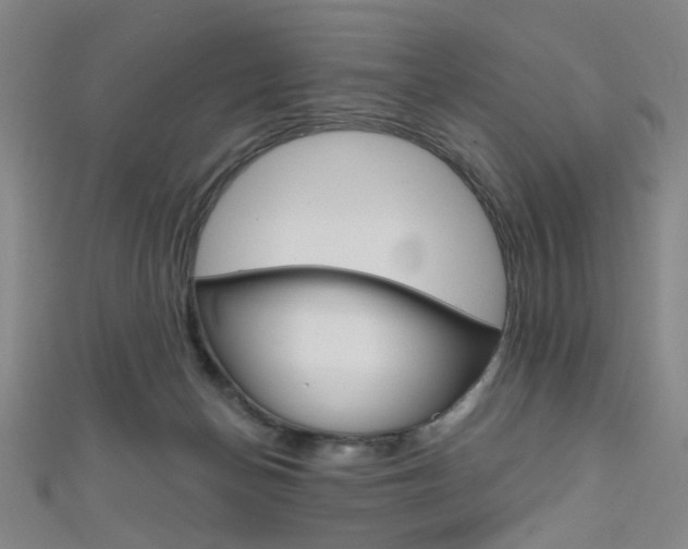 X0000111640174200907171045