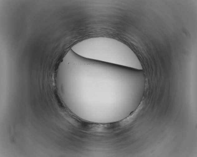 X0000111640182200907171046