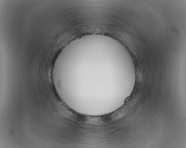 X0000111640185200907171046