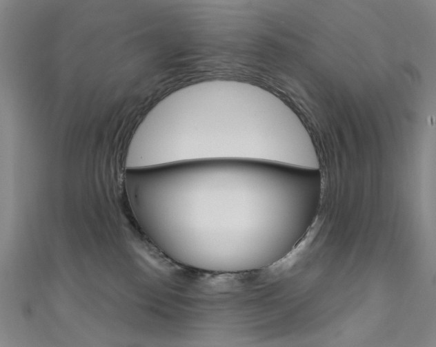 X0000111640186200907171046