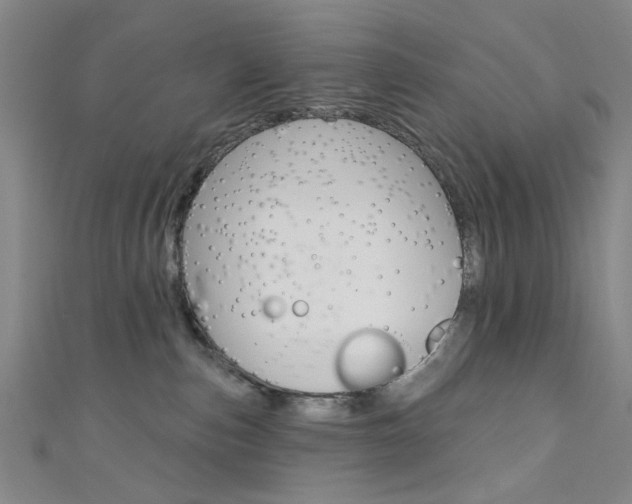 X0000111640187200907171046