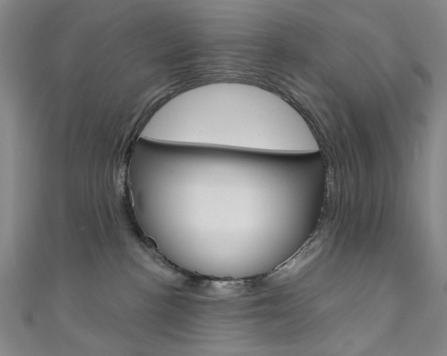 X0000111640188200907171046