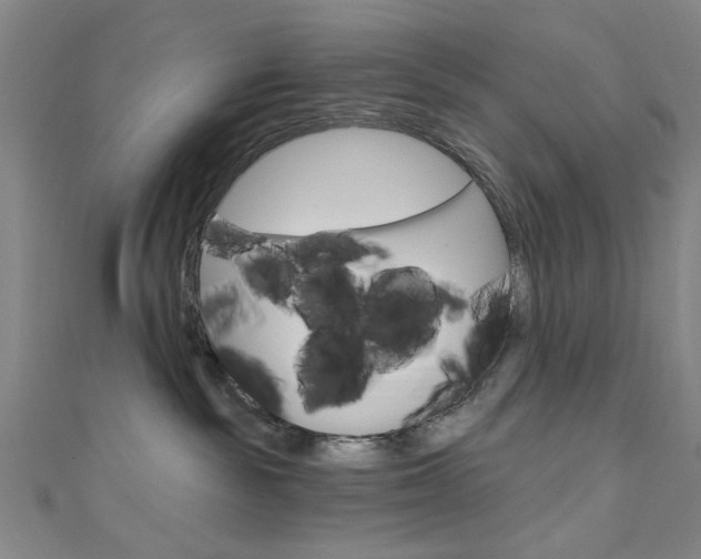 X0000111640189200907171046