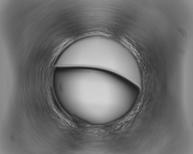 X0000111640193200907171045