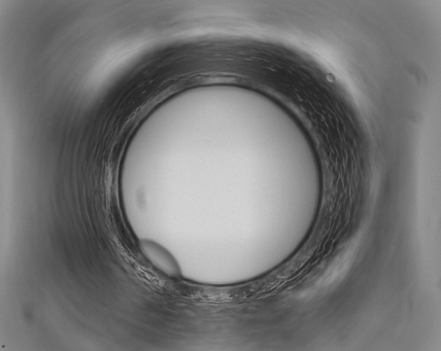 X0000111640194200907171045