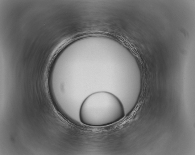 X0000111640197200907171045