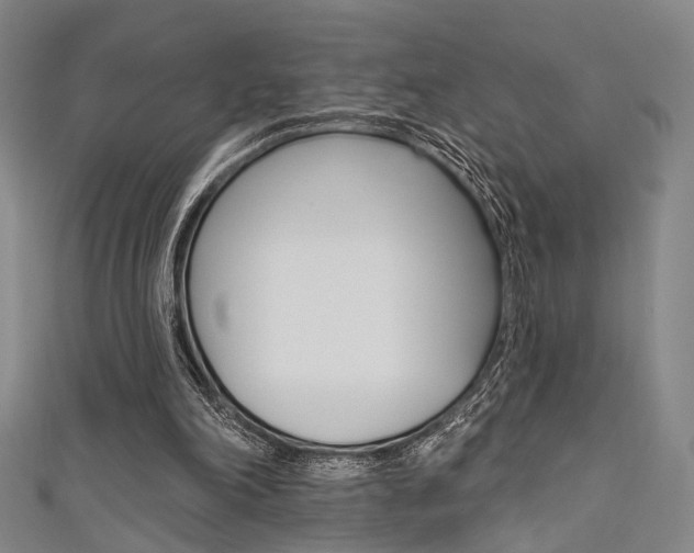 X0000111640198200907171045