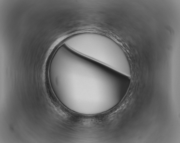 X0000111640200200907171045