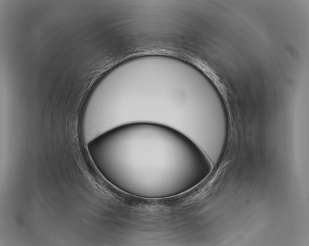 X0000111640201200907171045