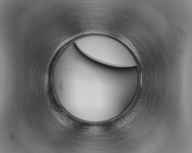 X0000111640204200907171045