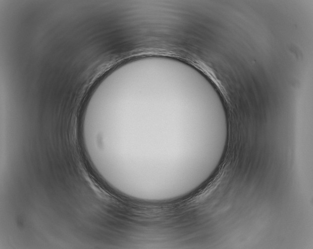 X0000111640205200907171045
