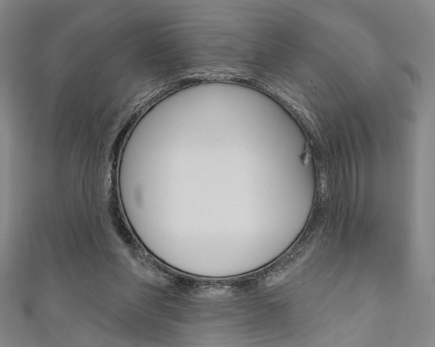 X0000111640206200907171045