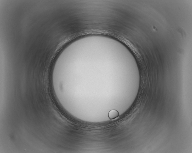 X0000111640207200907171045