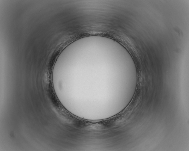 X0000111640210200907171045