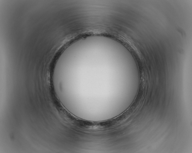 X0000111640212200907171045