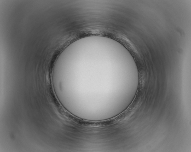 X0000111640213200907171045