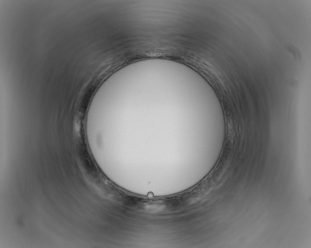 X0000111640214200907171045