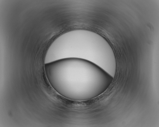 X0000111640215200907171045