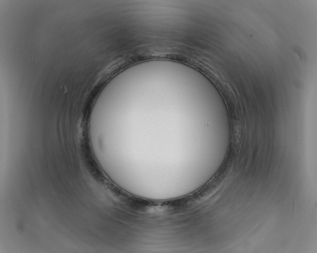 X0000111640216200907171045