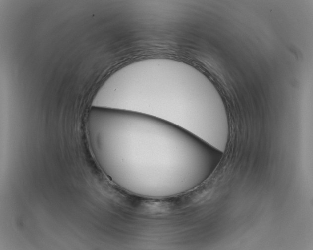 X0000111640221200907171045