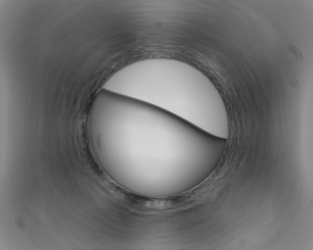 X0000111640225200907171045
