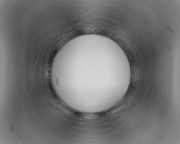 X0000111640226200907171045