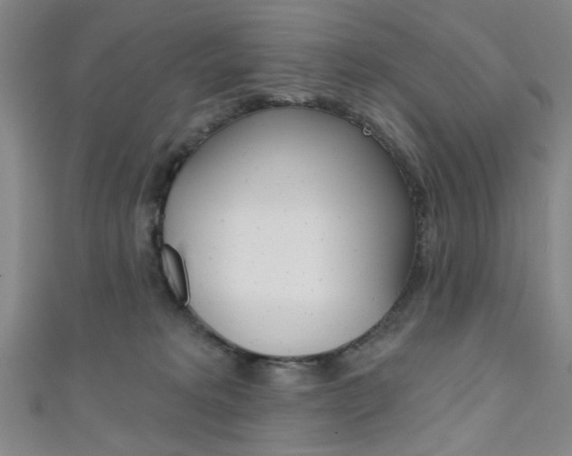 X0000111640229200907171045