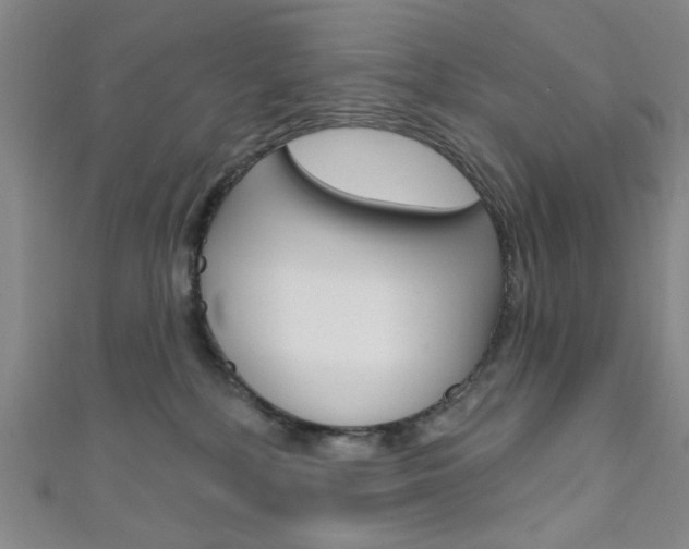 X0000111640232200907171045
