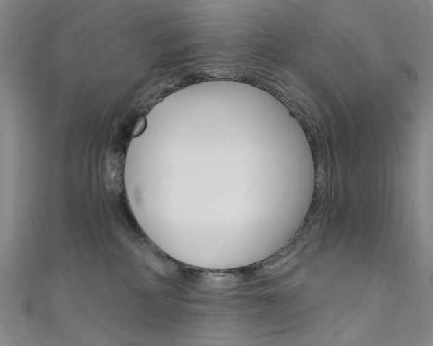 X0000111640234200907171045