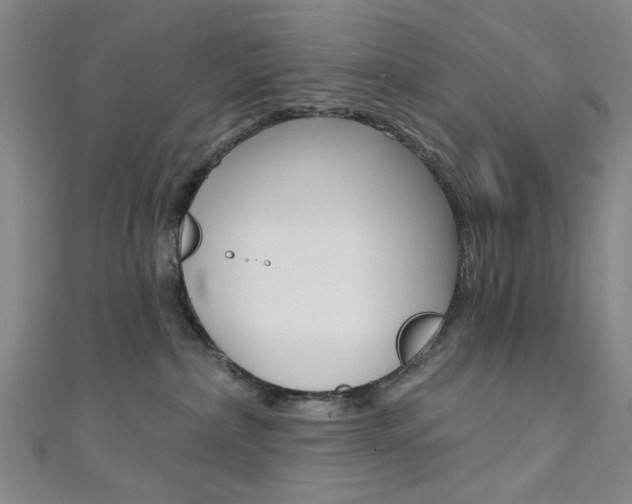 X0000111640236200907171045