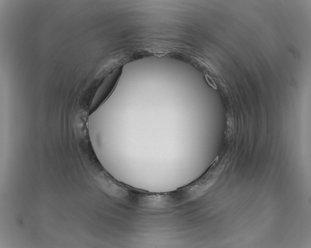 X0000111640237200907171044