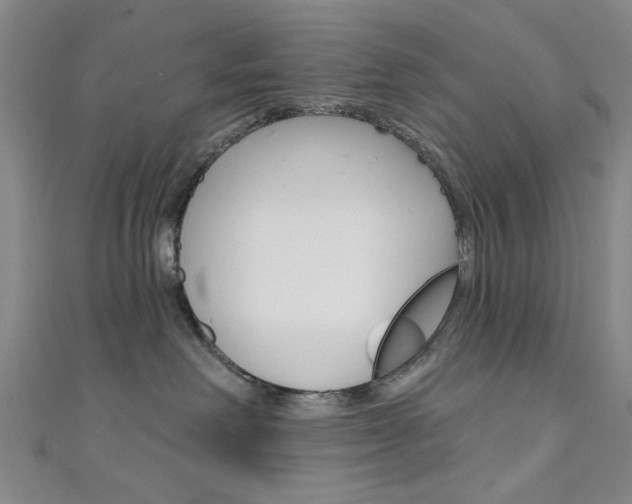 X0000111640238200907171044