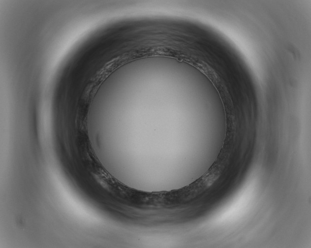 X0000111640239200907171044
