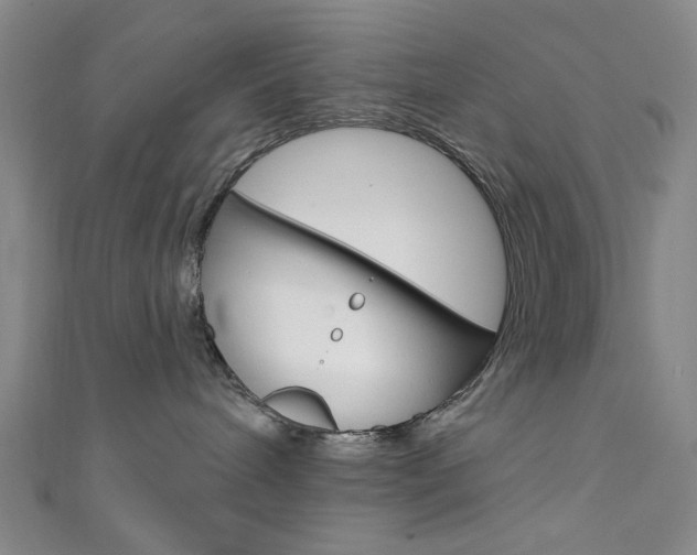 X0000111640240200907171044