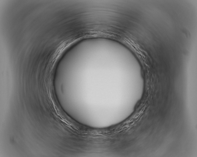 X0000111640241200907171044