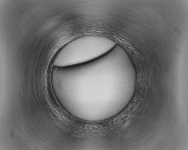 X0000111640242200907171044