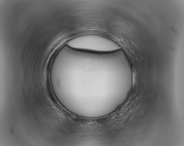 X0000111640243200907171044